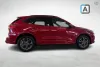 Ford Kuga 2,5 Ladattava hybridi (PHEV) 225hv CVT FWD ST-Line X 5-ovinen Thumbnail 6